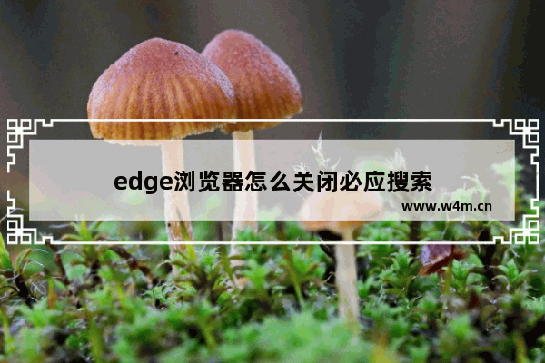 edge浏览器怎么关闭必应搜索