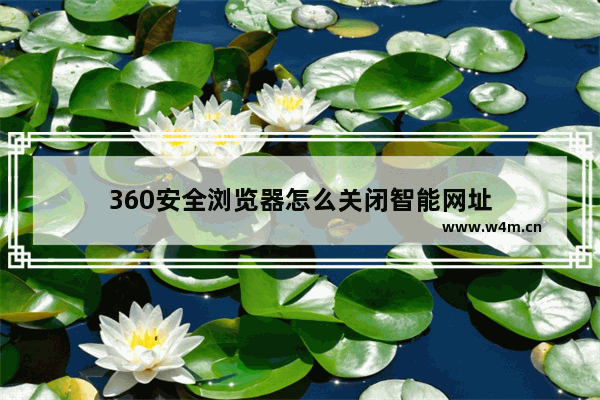 360安全浏览器怎么关闭智能网址