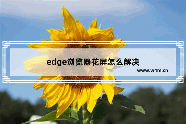 edge浏览器花屏怎么解决