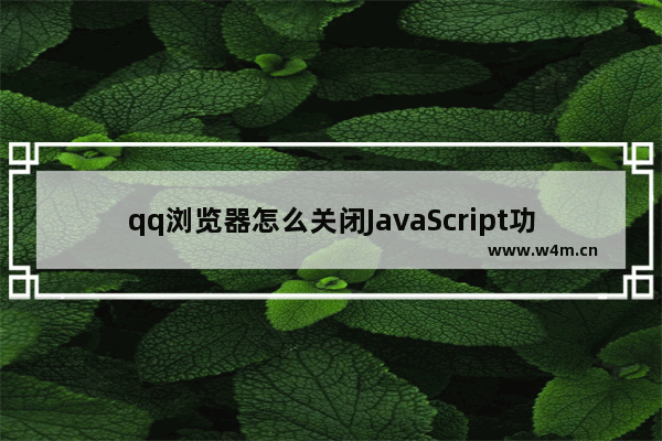 qq浏览器怎么关闭JavaScript功能