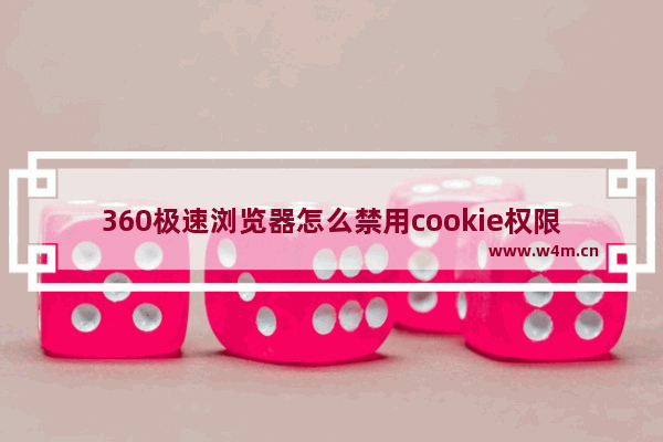 360极速浏览器怎么禁用cookie权限