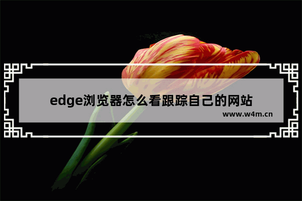 edge浏览器怎么看跟踪自己的网站