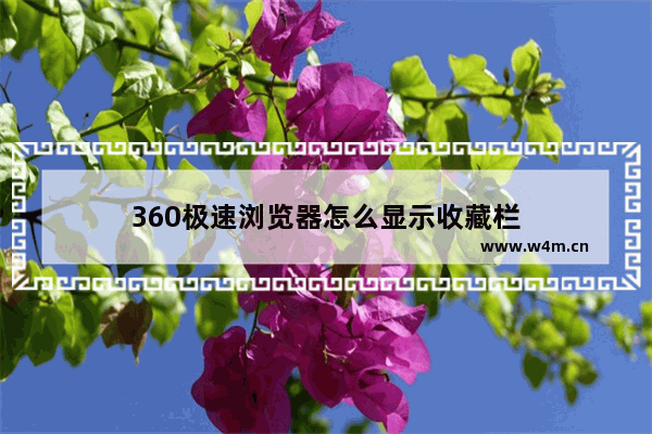 360极速浏览器怎么显示收藏栏