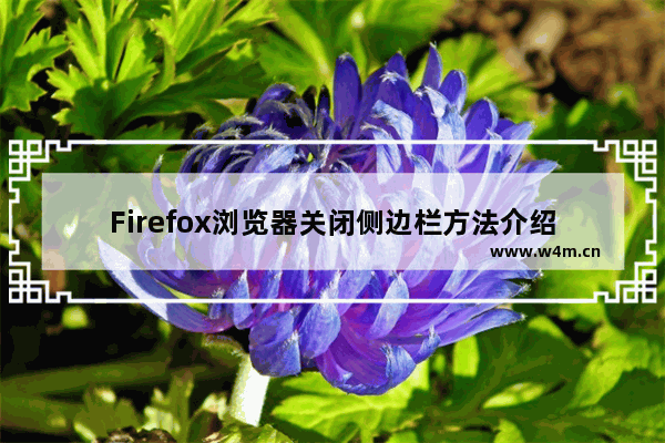 Firefox浏览器关闭侧边栏方法介绍