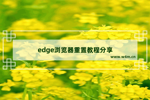 edge浏览器重置教程分享