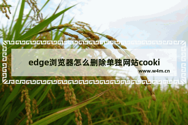 edge浏览器怎么删除单独网站cookie数据