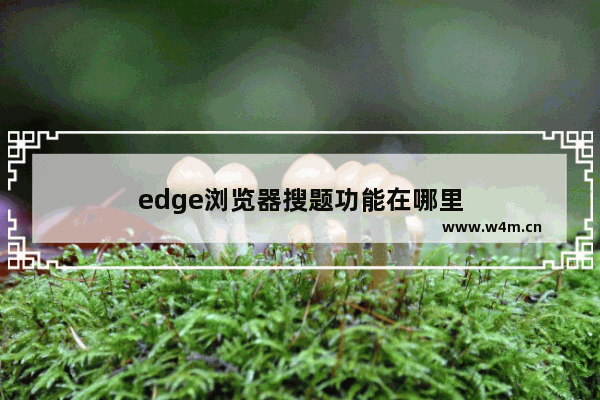 edge浏览器搜题功能在哪里