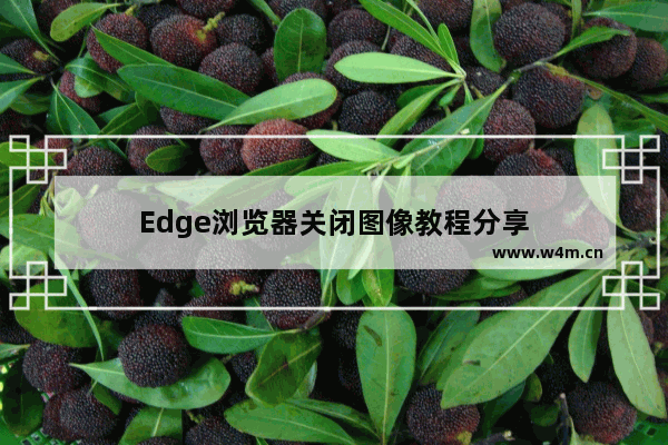 Edge浏览器关闭图像教程分享