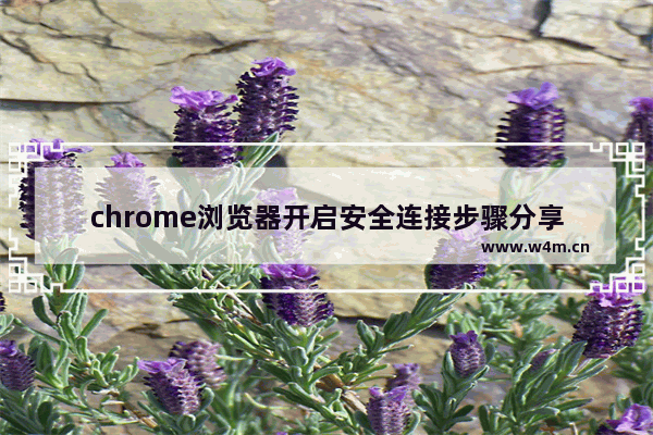 chrome浏览器开启安全连接步骤分享