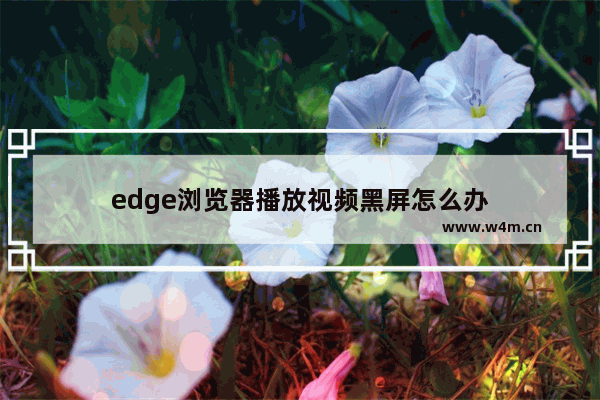 edge浏览器播放视频黑屏怎么办