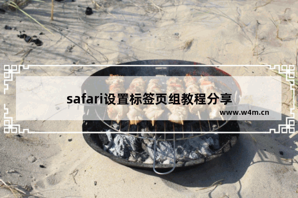 safari设置标签页组教程分享