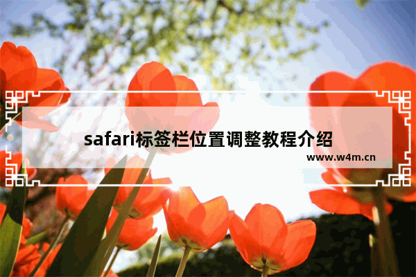 safari标签栏位置调整教程介绍