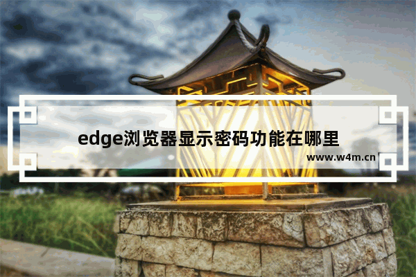 edge浏览器显示密码功能在哪里