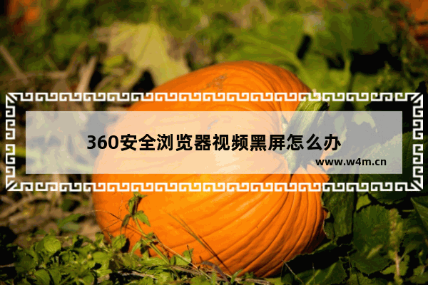 360安全浏览器视频黑屏怎么办