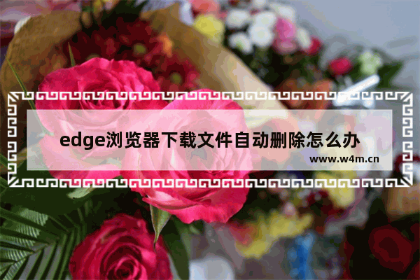 edge浏览器下载文件自动删除怎么办