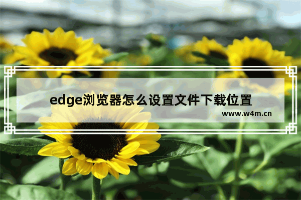 edge浏览器怎么设置文件下载位置