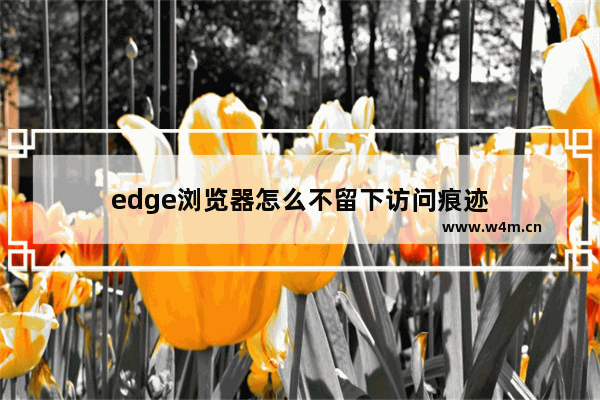 edge浏览器怎么不留下访问痕迹