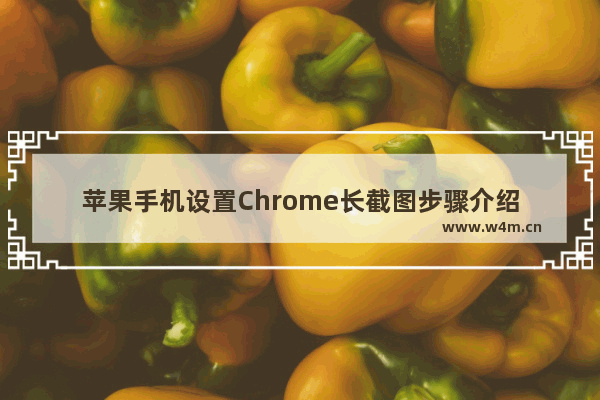 苹果手机设置Chrome长截图步骤介绍