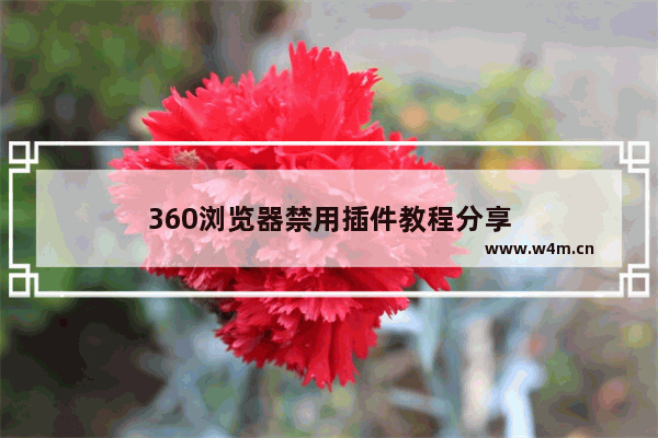 360浏览器禁用插件教程分享