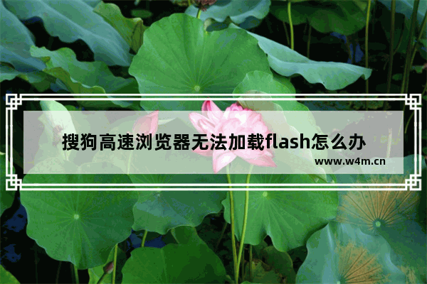 搜狗高速浏览器无法加载flash怎么办