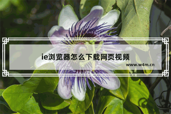 ie浏览器怎么下载网页视频