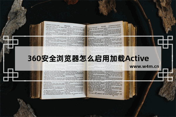 360安全浏览器怎么启用加载Activex控件