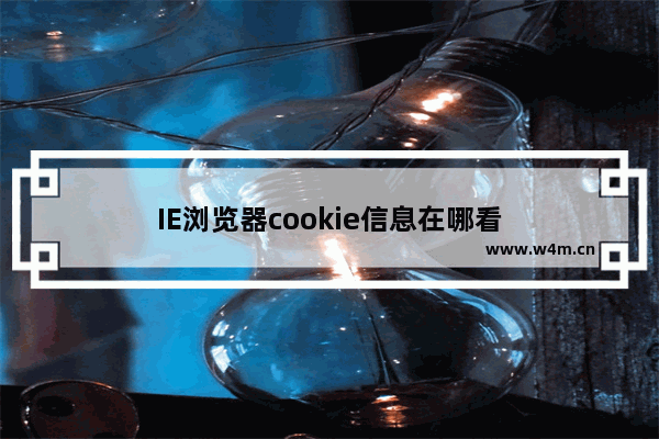 IE浏览器cookie信息在哪看