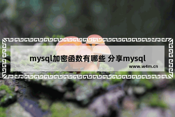 mysql加密函数有哪些 分享mysql数据库基础知识