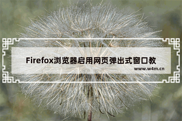 Firefox浏览器启用网页弹出式窗口教程分享