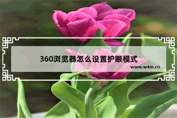 360浏览器怎么设置护眼模式