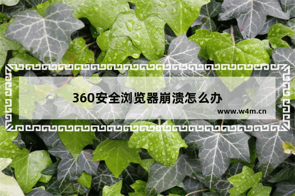 360安全浏览器崩溃怎么办