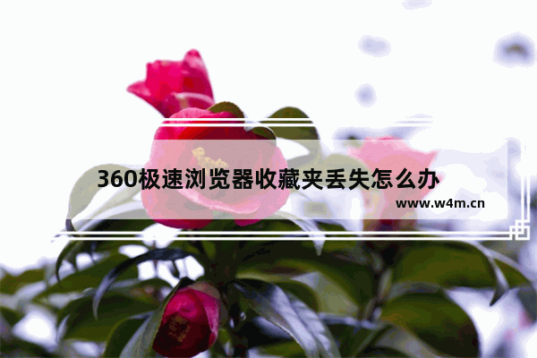 360极速浏览器收藏夹丢失怎么办