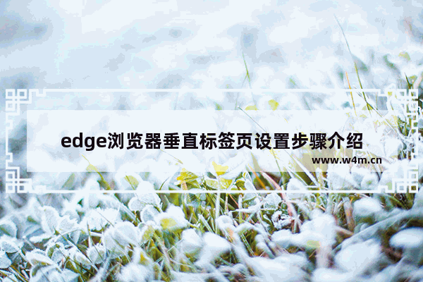 edge浏览器垂直标签页设置步骤介绍