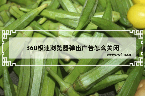 360极速浏览器弹出广告怎么关闭