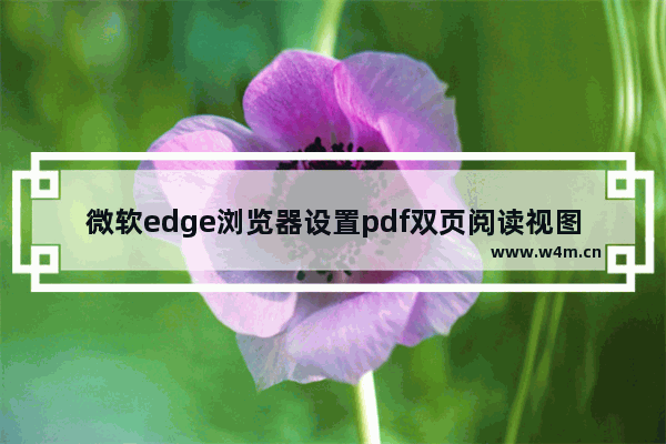 微软edge浏览器设置pdf双页阅读视图教程分享