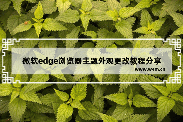 微软edge浏览器主题外观更改教程分享