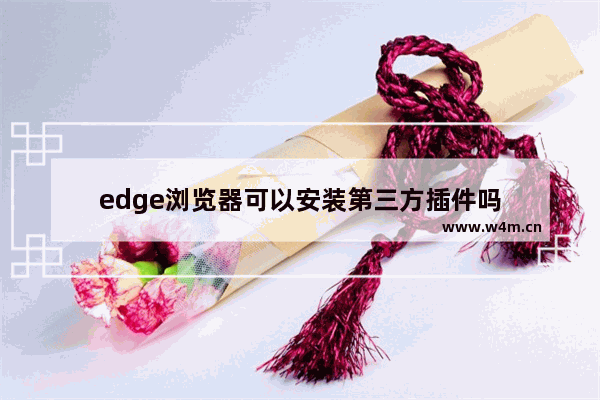 edge浏览器可以安装第三方插件吗