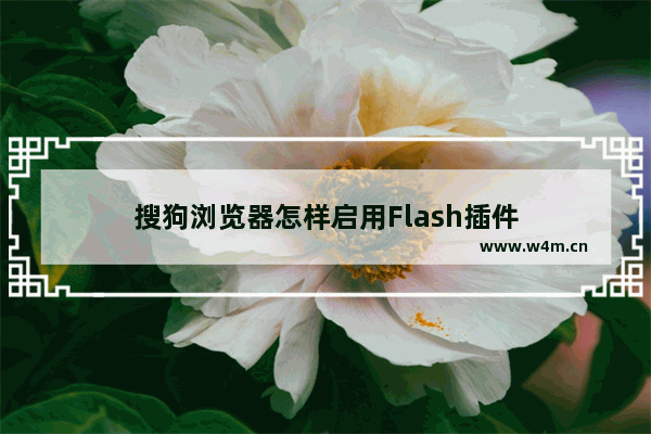 搜狗浏览器怎样启用Flash插件