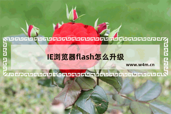 IE浏览器flash怎么升级