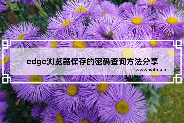 edge浏览器保存的密码查询方法分享