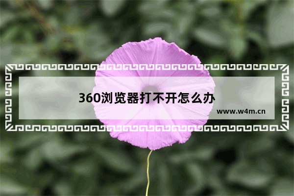 360浏览器打不开怎么办