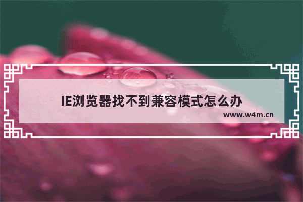 IE浏览器找不到兼容模式怎么办