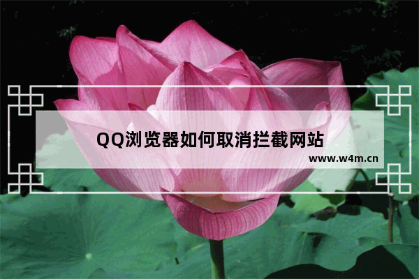 QQ浏览器如何取消拦截网站