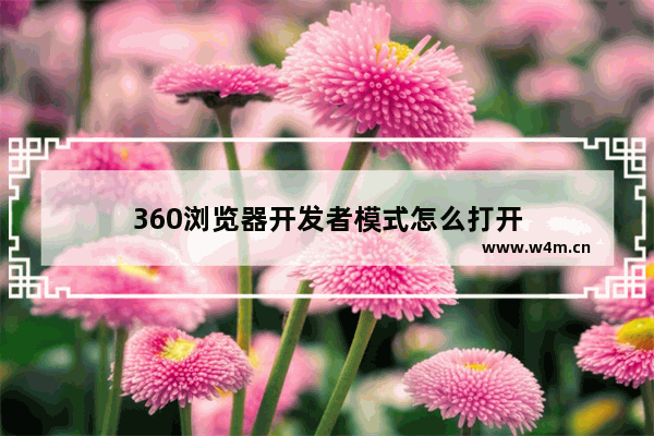 360浏览器开发者模式怎么打开