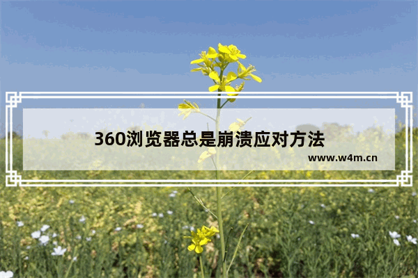 360浏览器总是崩溃应对方法