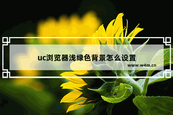 uc浏览器浅绿色背景怎么设置