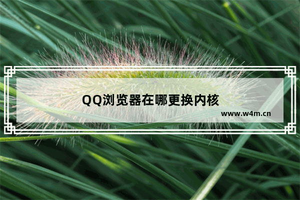 QQ浏览器在哪更换内核