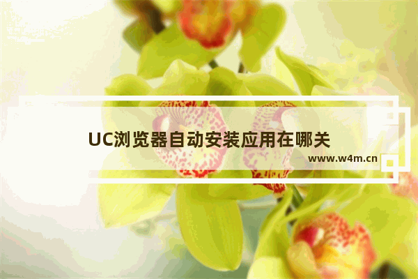 UC浏览器自动安装应用在哪关