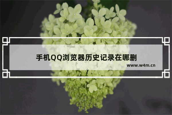 手机QQ浏览器历史记录在哪删