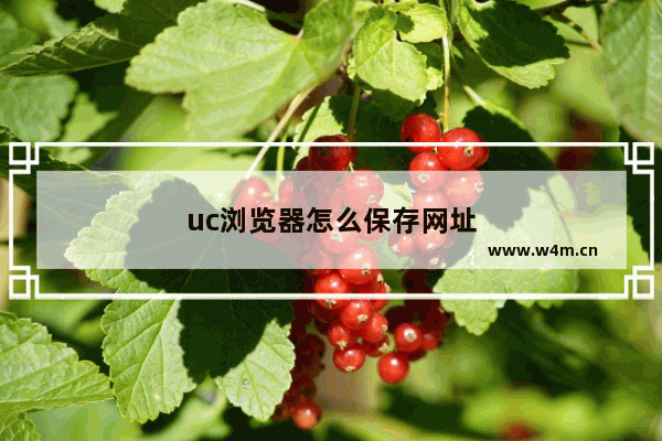 uc浏览器怎么保存网址